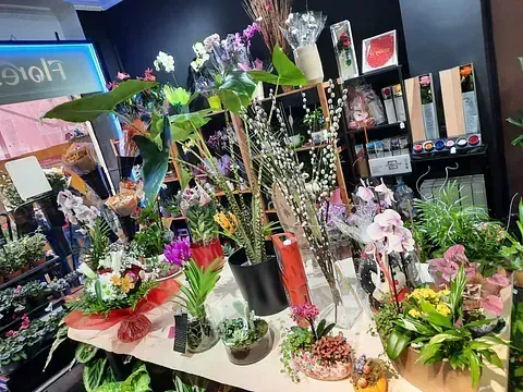 Un montón de plantas en macetas están sobre una mesa en una tienda.