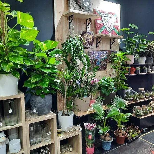 Una habitación llena de muchas plantas en macetas en estantes.