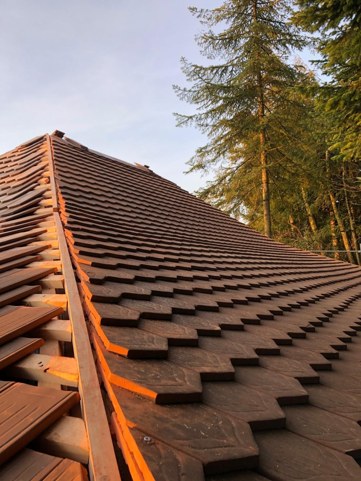 Eine Nahaufnahme eines Daches mit Bäumen im Hintergrund