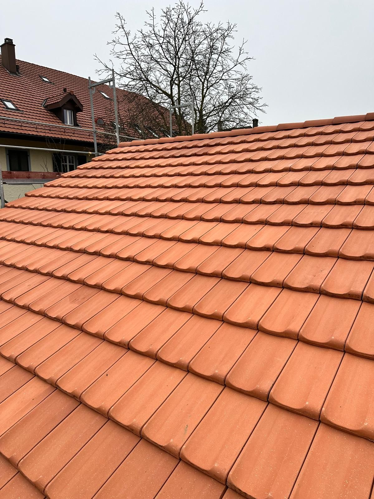 Eine Nahaufnahme eines Ziegeldachs mit einem Baum im Hintergrund.