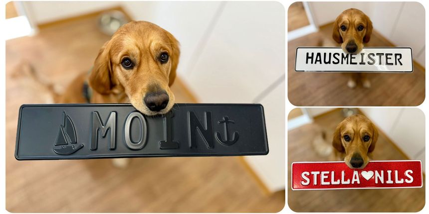 Ein Dackel hält ein schwarzes Schild mit der Aufschrift „AMOING“, daneben befinden sich zwei kleinere Schilder als Beispiele.