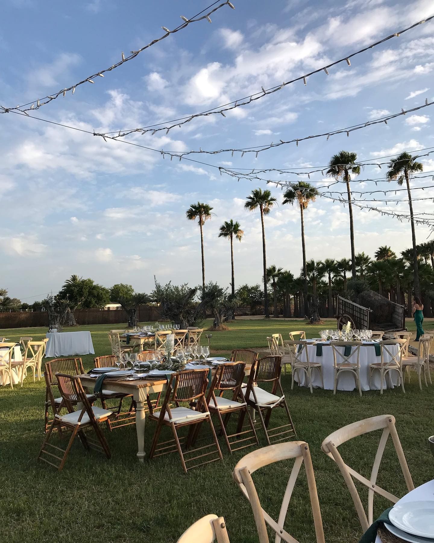 Se colocan mesas y sillas en un campo con palmeras al fondo.