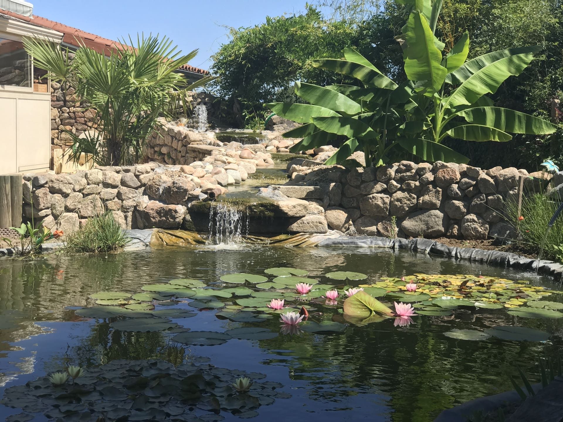 Création d'un bassin avec aménagement autour et d'une cascade en pierre naturelle.
