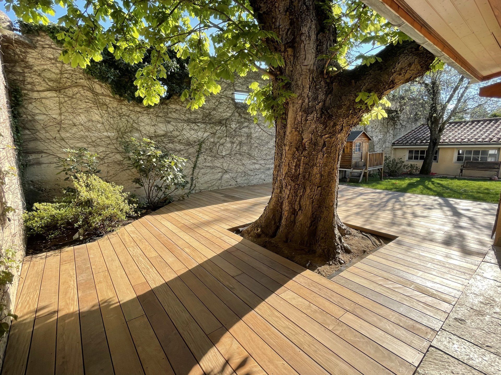 Terrasse en bois entourant un grand arbre, avec des plantes et un mur de pierre en arrière-plan.