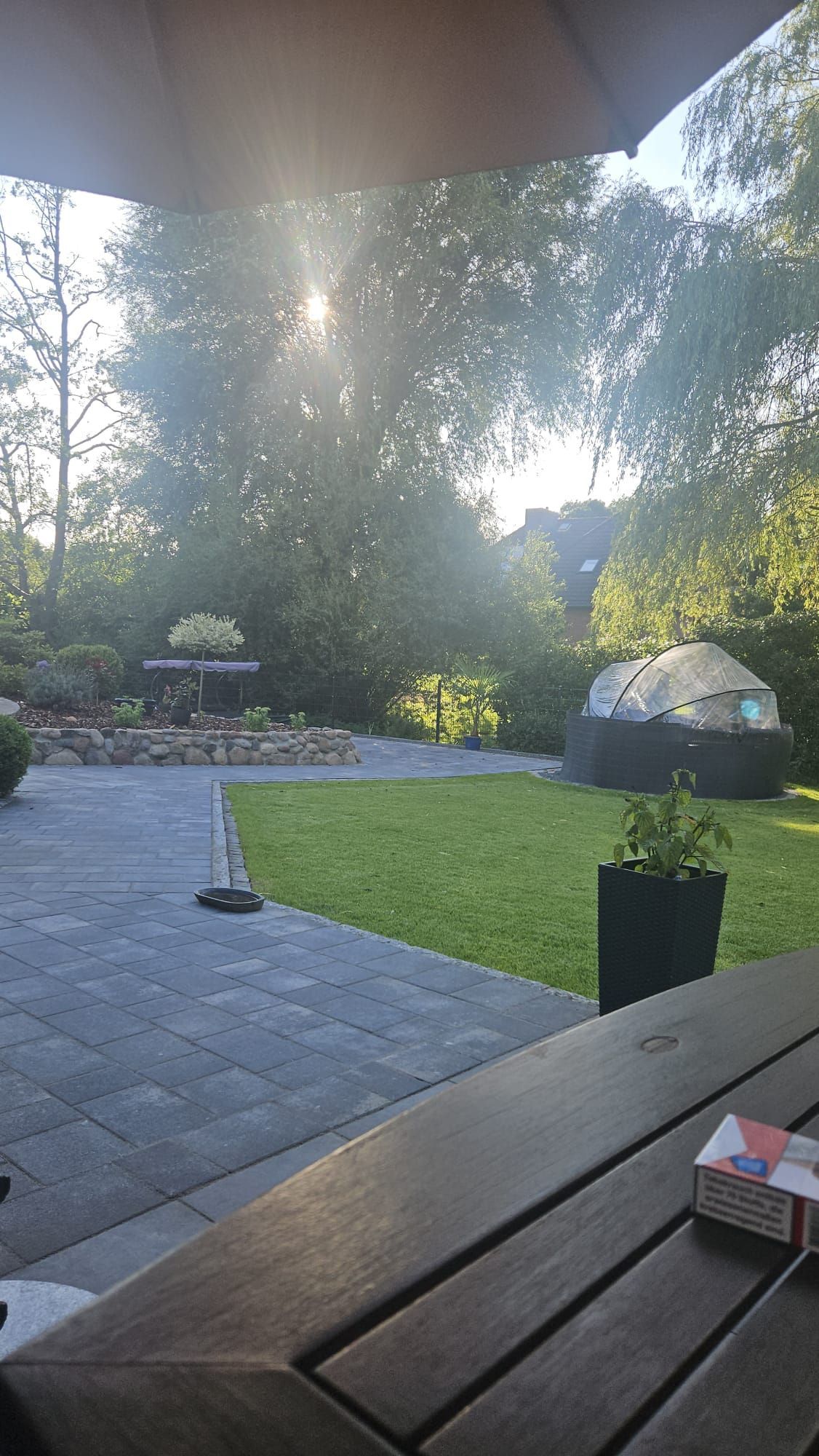 Die Sonne scheint durch die Bäume im Hinterhof.