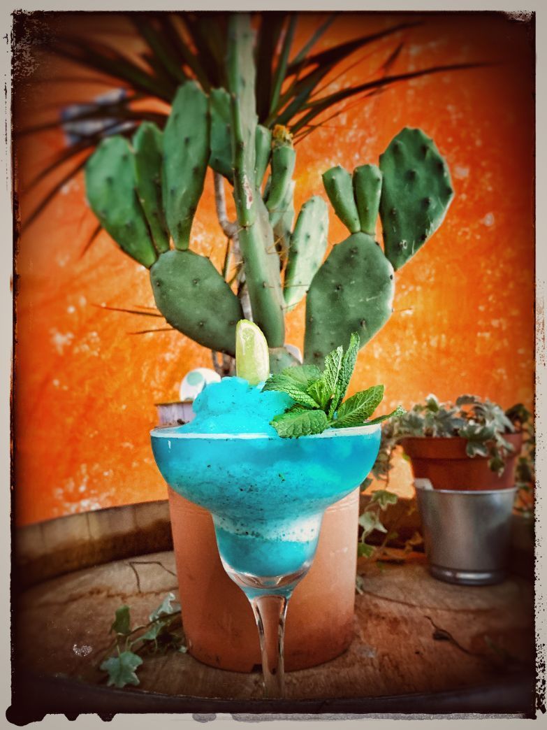 Blauer Cocktail Kaktus