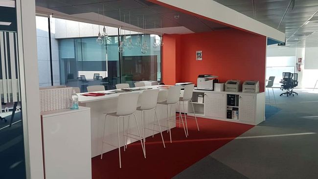 Una sala de estar con sofá, silla, alfombra, lámpara y cactus.