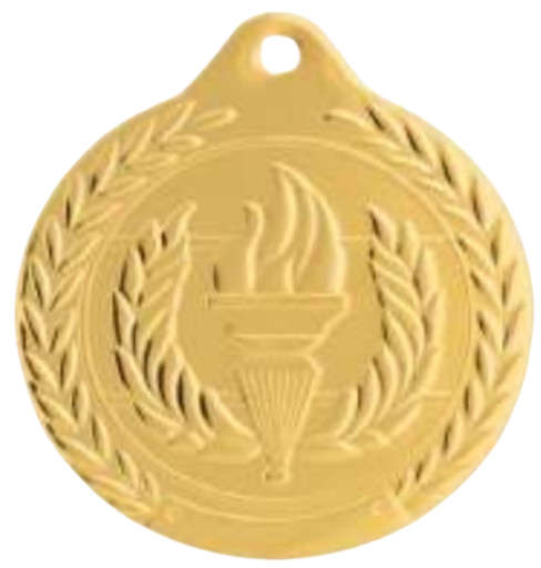 Una medalla de oro, plata y bronce con un agujero en el medio.