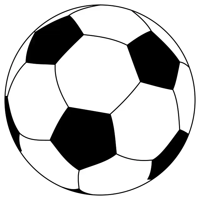Un dibujo en blanco y negro de un balón de fútbol sobre un fondo blanco.