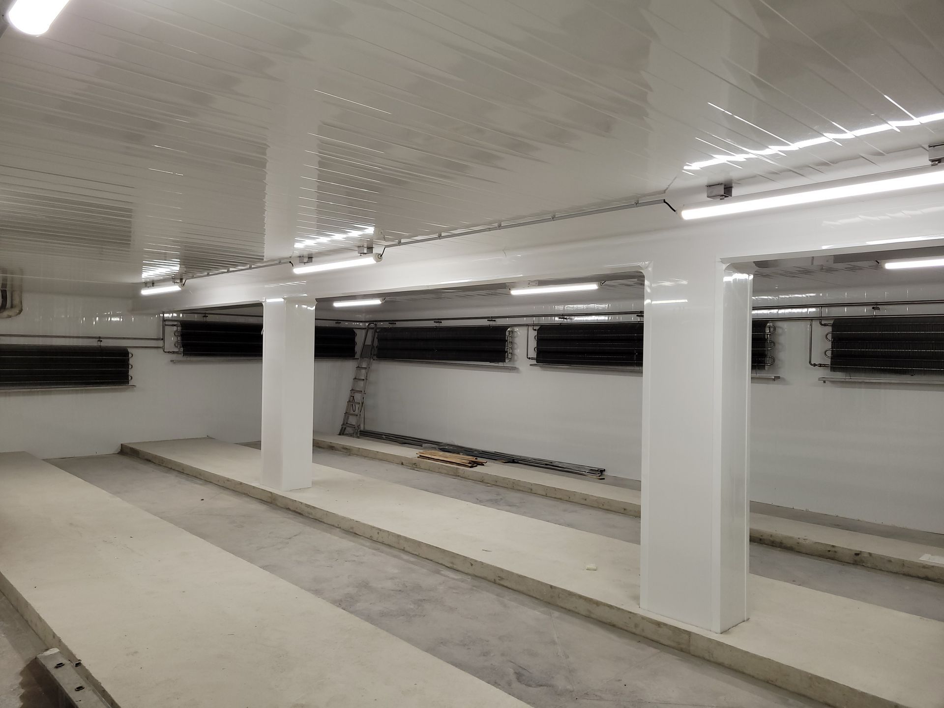 Eclairage dans une fromagerie