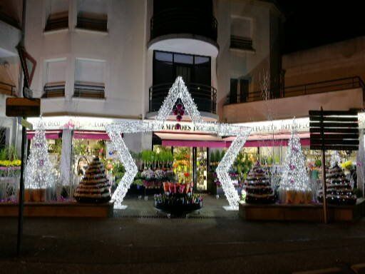 Décoration de Noël étoile devant le fleuriste Le Temps des Fleurs 