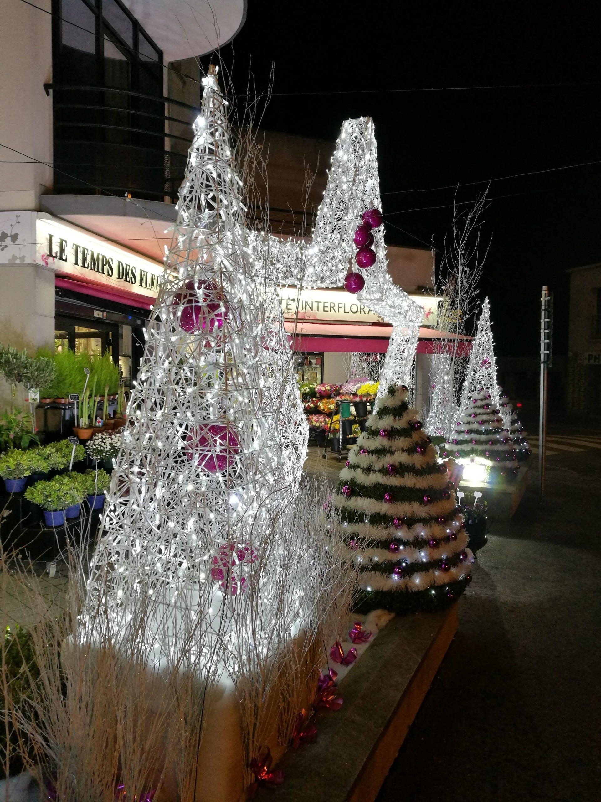 Décoration sapin de noël devant le fleuriste Le Temps des Fleurs