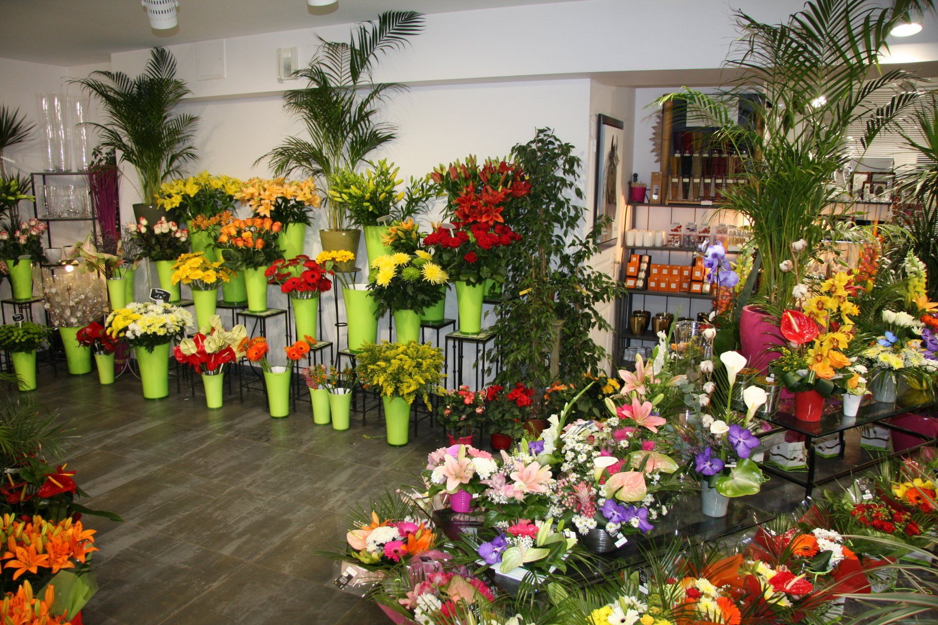Pots de fleurs dans le magasin