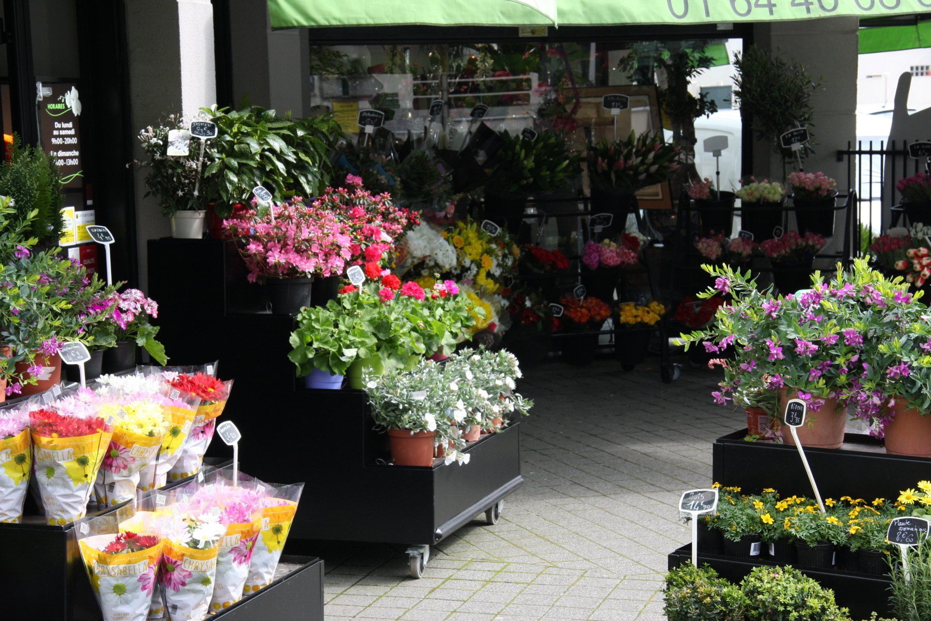 Présentoir extérieur d'une boutique de fleuriste avec des pots de fleurs 