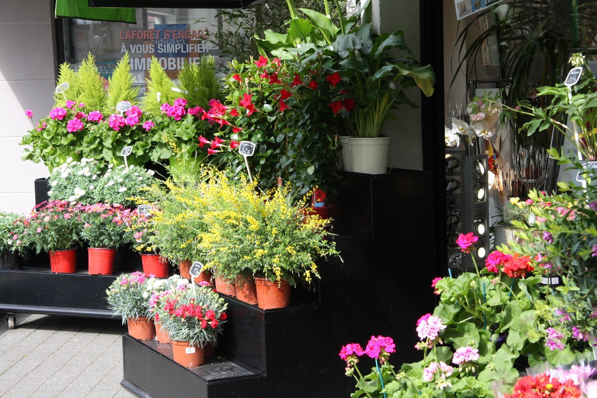 Pots de fleurs et de plantes sur des présentoirs extérieurs