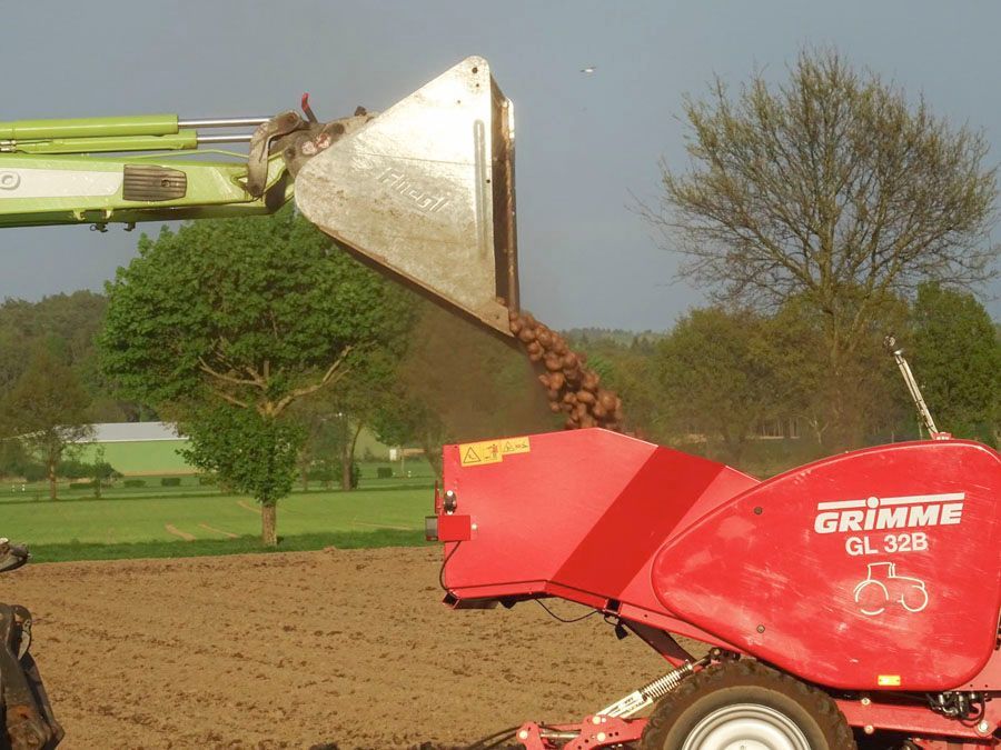 Eine Grimme-Maschine wird mit Kartoffeln beladen