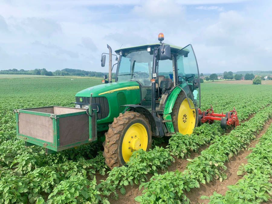 Ein grün-gelber Traktor pflügt ein Feld mit Grünpflanzen.