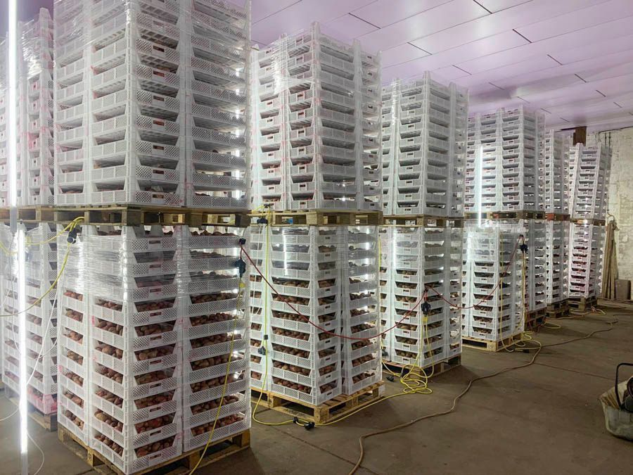 Ein Lagerhaus voller übereinander gestapelter Plastikkisten.