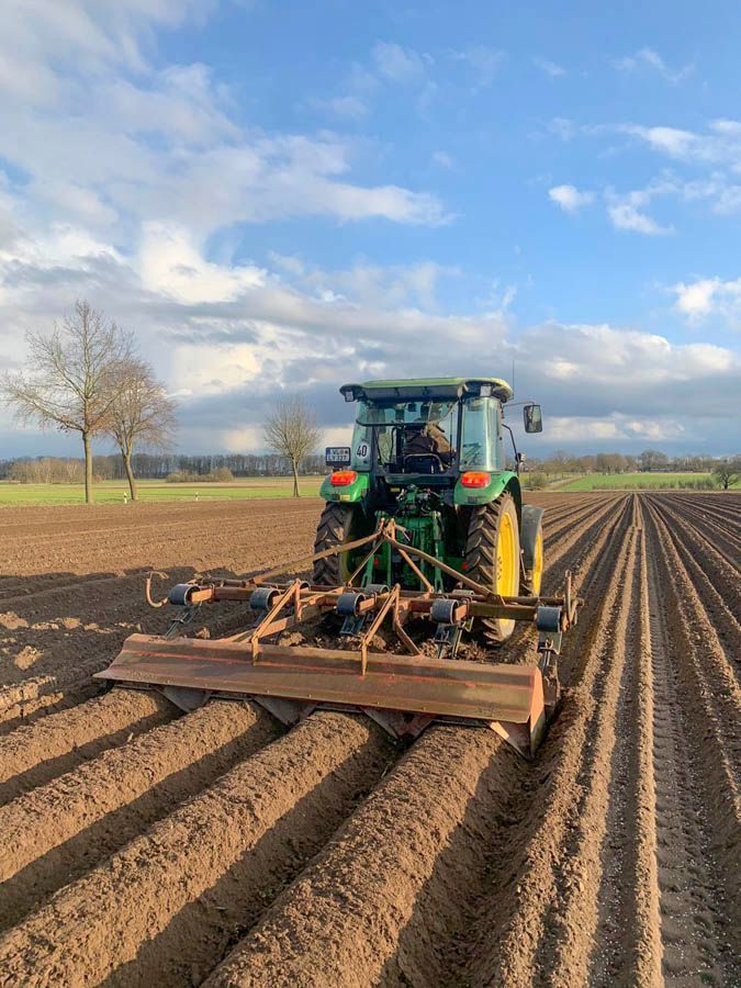 Ein Traktor mit angebautem Pflug pflügt ein Feld.