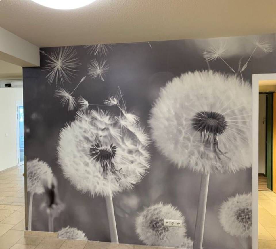 Fototapete mit Pusteblumen