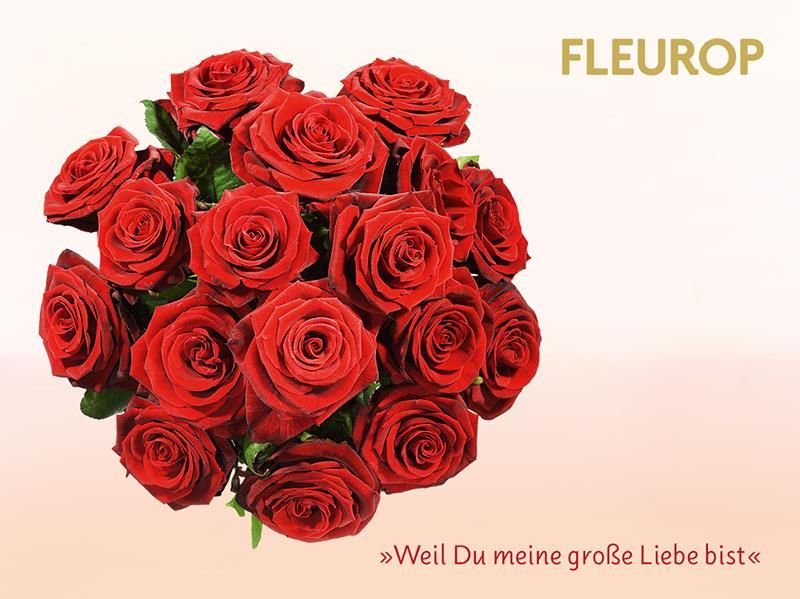 Ein Strauß roter Rosen mit Fleurop auf der Unterseite geschrieben