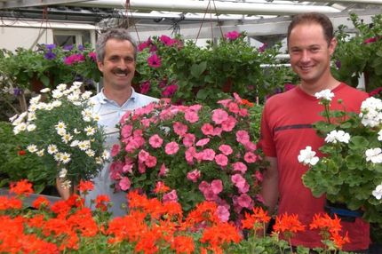 Blumen Krumme Geschichte Historie Bergneustadt Gummersbach Wiehl Olpe Drolshagen Meinerzhagen