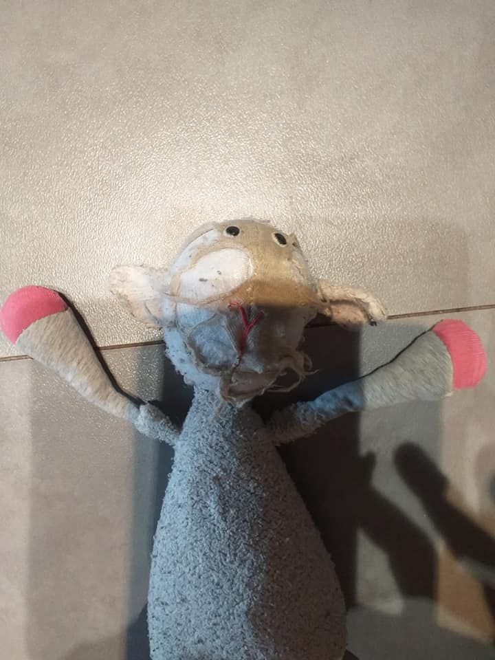 Réparation de doudou mouton