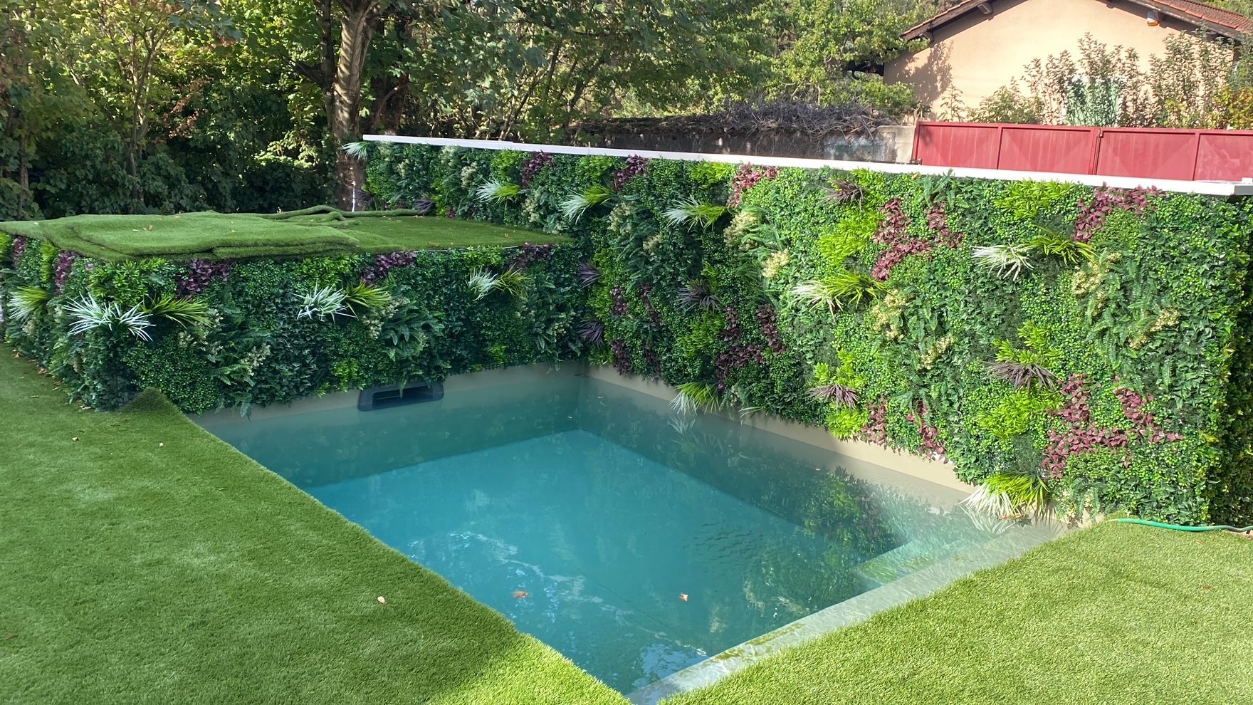 Piscine avec gazon