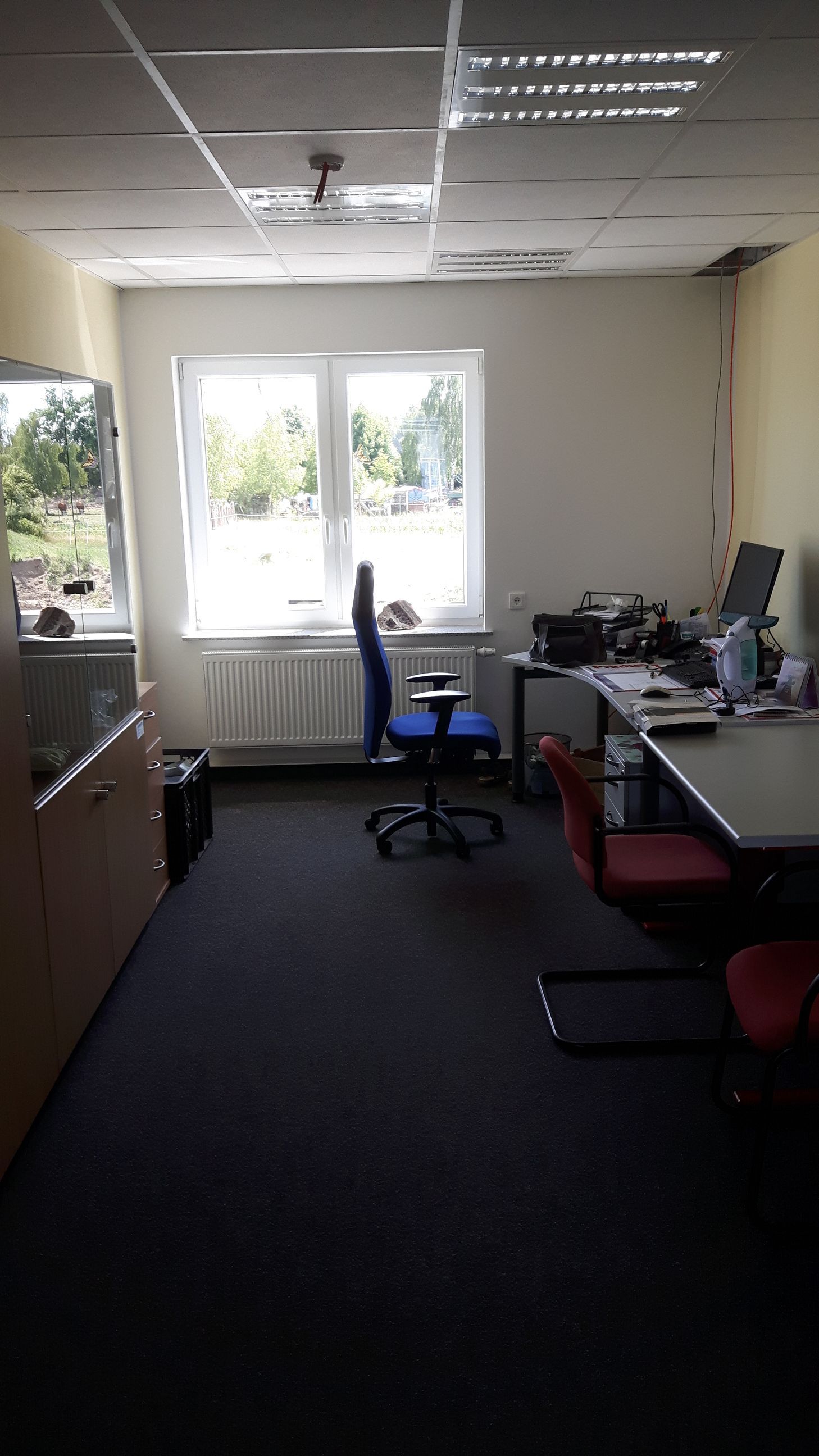 Fertig montierte Rasterdecke mit integrierten Leuchten über einem Fenster.
