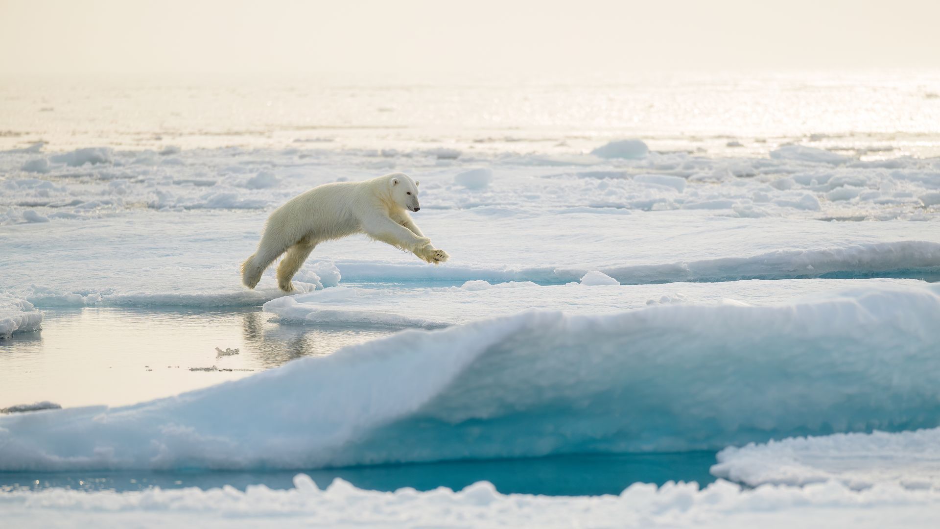 Expedition 