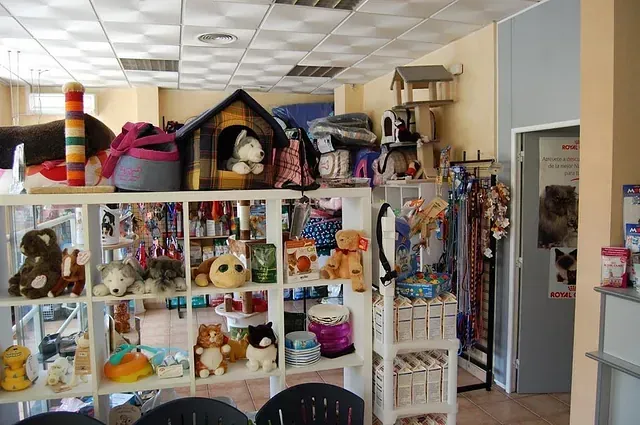 Una habitación llena de muchos animales de peluche, incluida una casa de perro.