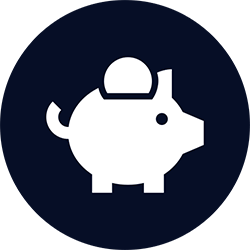 Icon Sparschwein