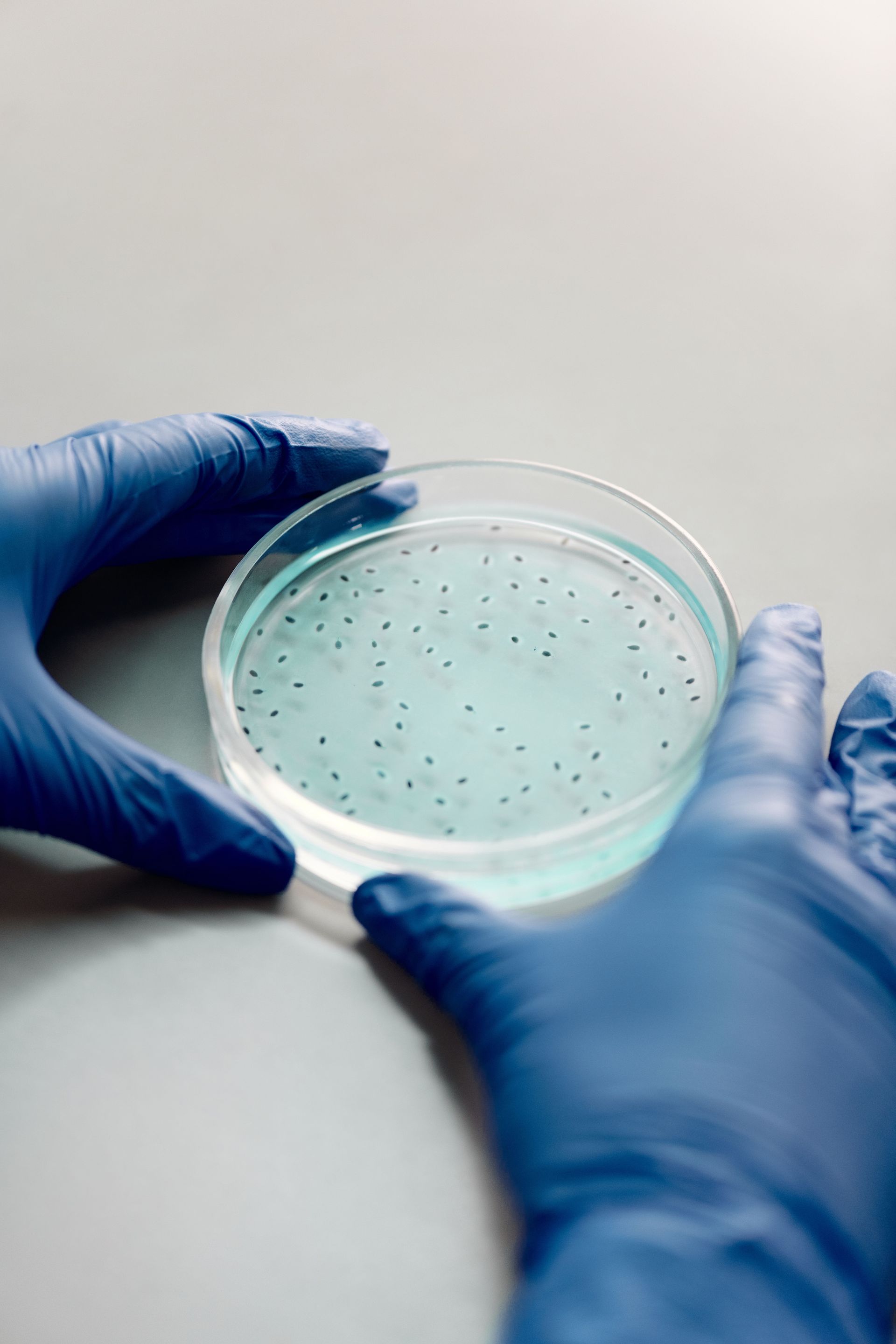 Enjeux microbiologiques-3DCE
