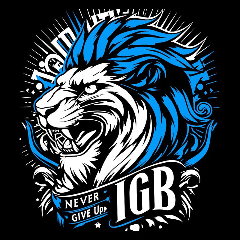 IGB ARTES MARCIALES