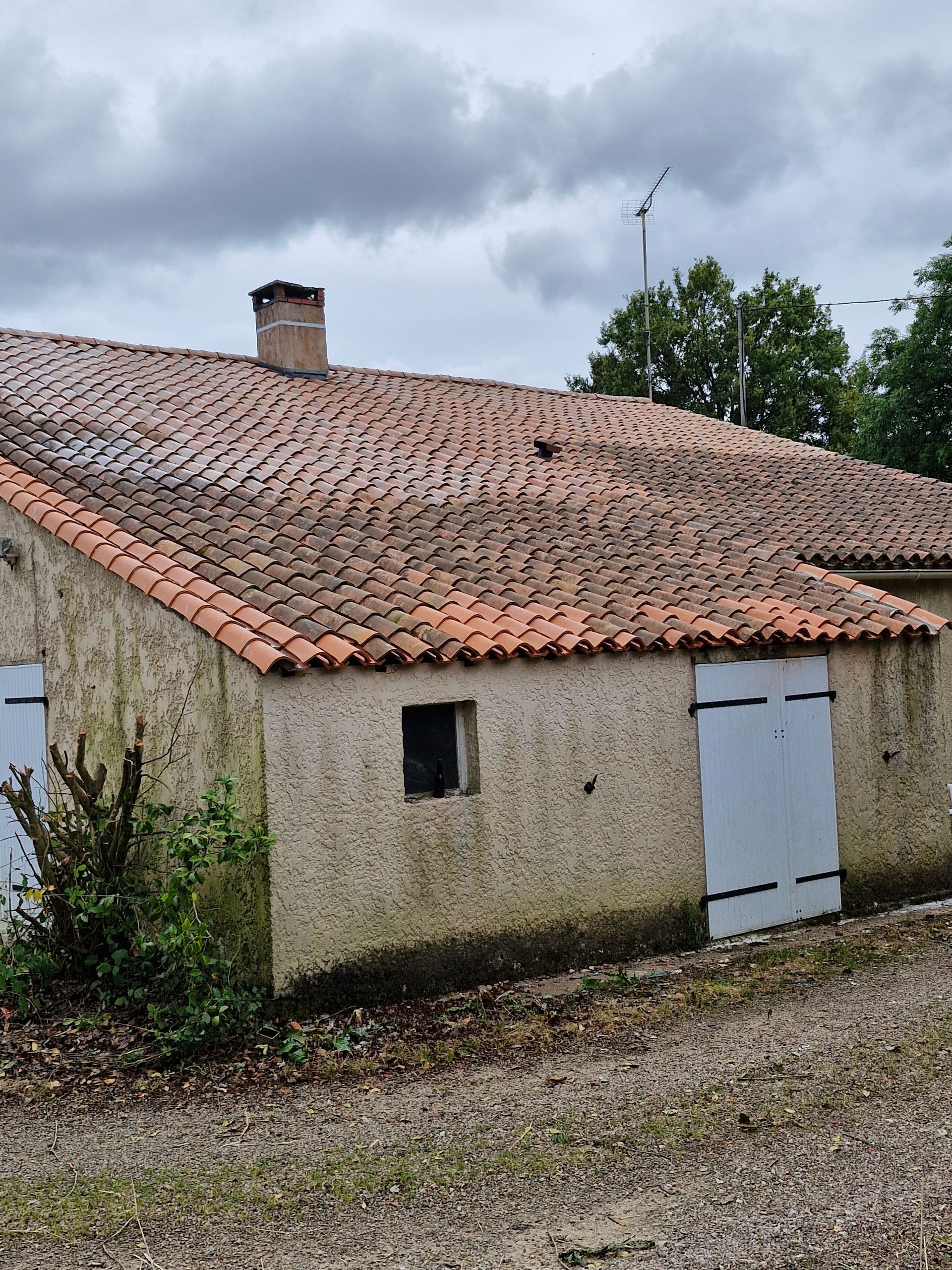 Photo d'une toiture avant réfection