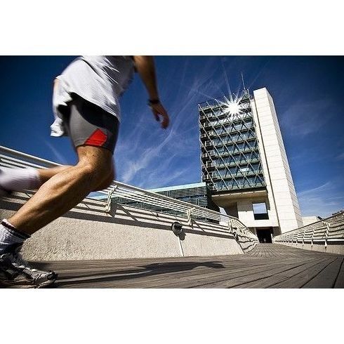 Reconocimientos deportivos