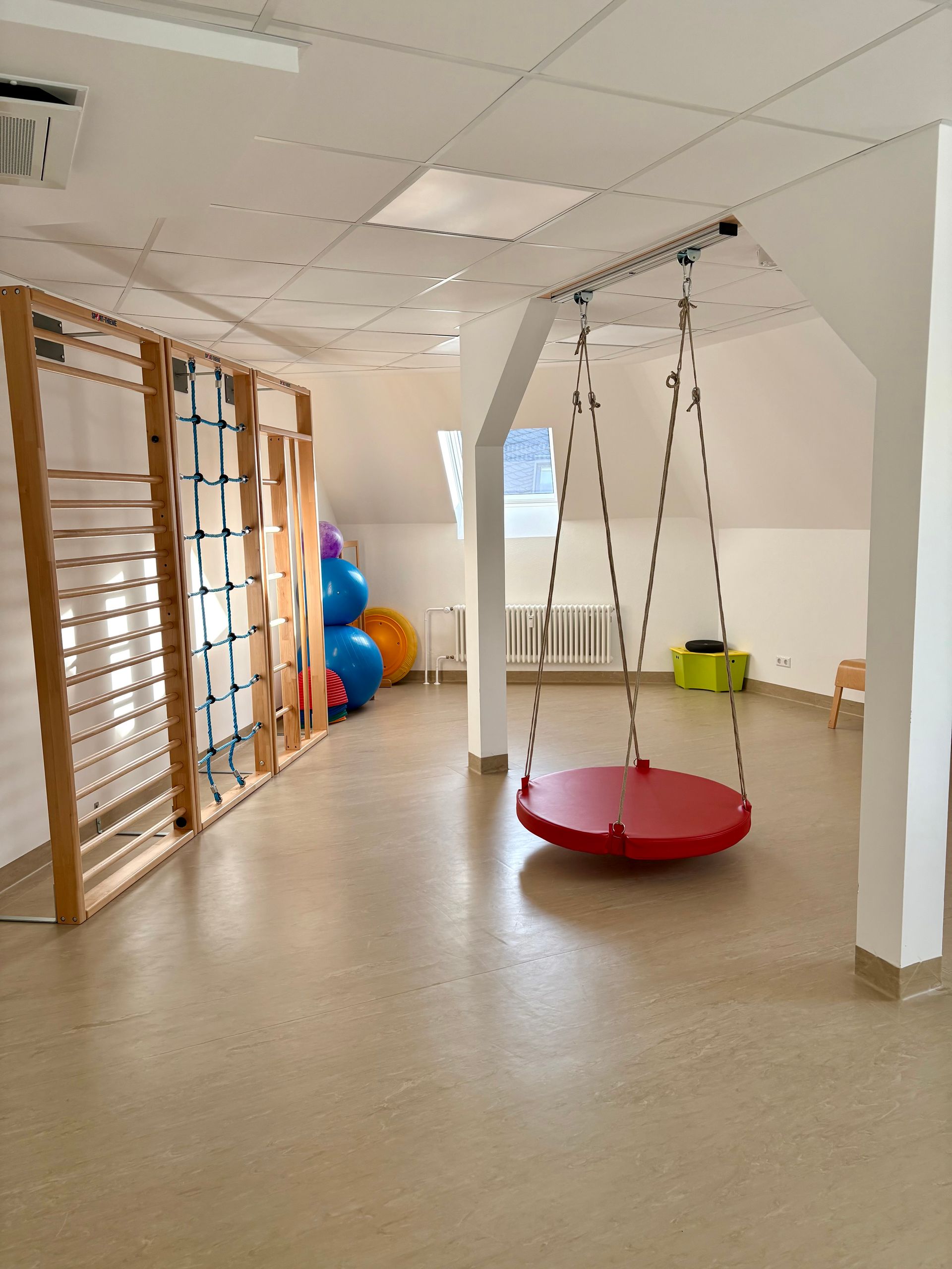 Großzügiger Therapieraum mit Sprossenwand, Therapiebällen und einer roten Hängeschaukel.