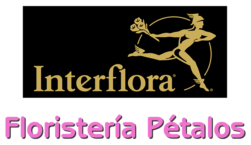 logotipo cabecera