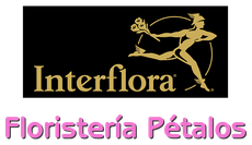 logotipo cabecera