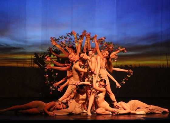Scena di uno spettacolo di danza contemporanea della scuola di danza The Moving Factory al Teatro di Locarno