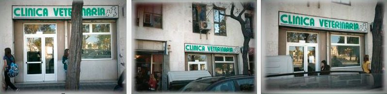 Tres fotografías del edificio de una clínica veterinaria.
