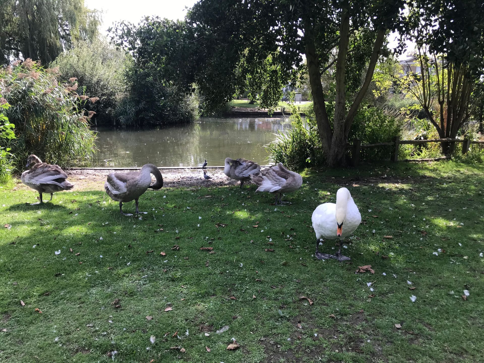 WINGHAM WILDLIFE PARK