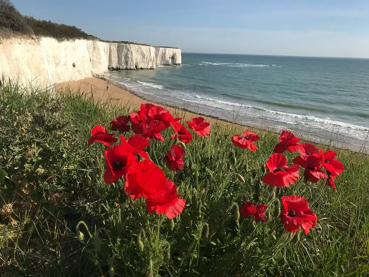 Sea view from Broadstairs Beach holiday apartment at Kingsgate Bay