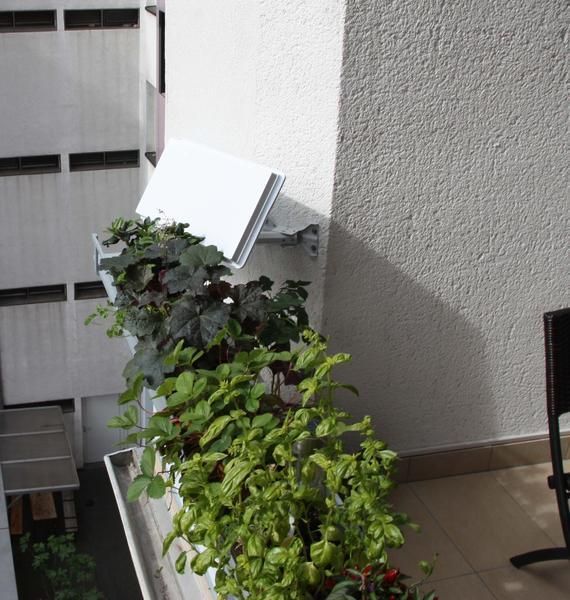 Ein Balkon mit vielen Pflanzen und einem Stuhl