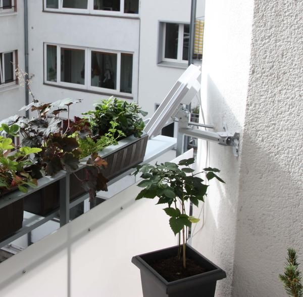 Eine Topfpflanze steht auf einem Balkon neben einem Blumentopf