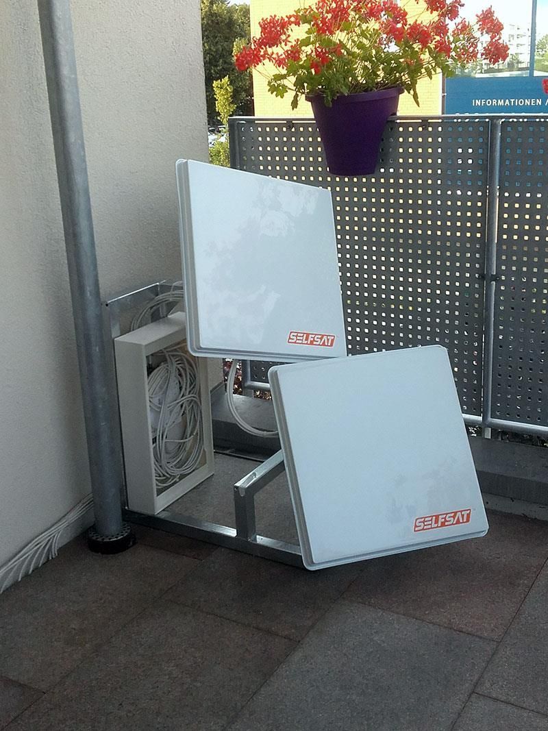 Zwei weiße Kisten stehen auf einem Balkon neben einer violetten Topfpflanze.