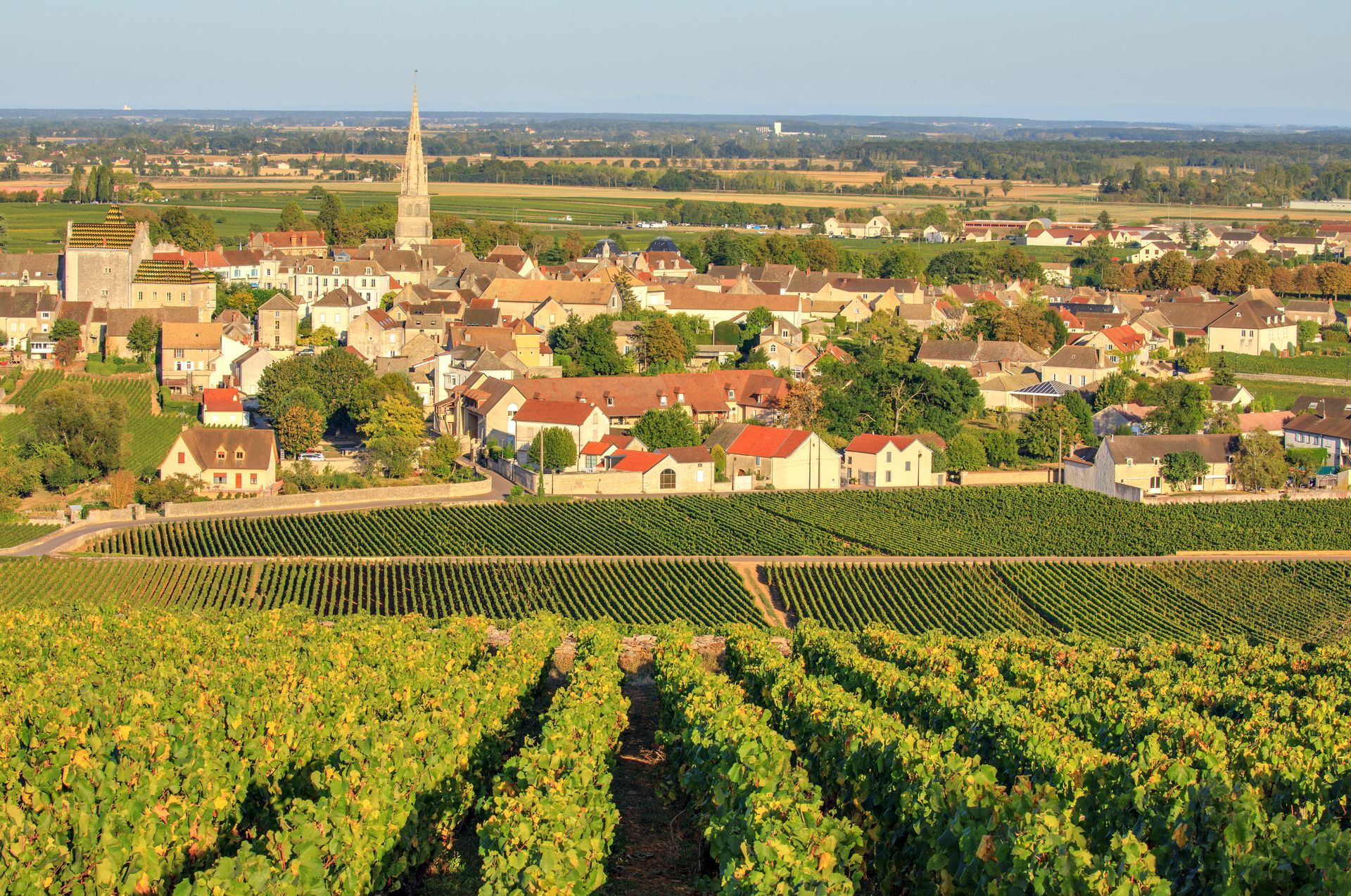 Commune de Puligny-Montrachet