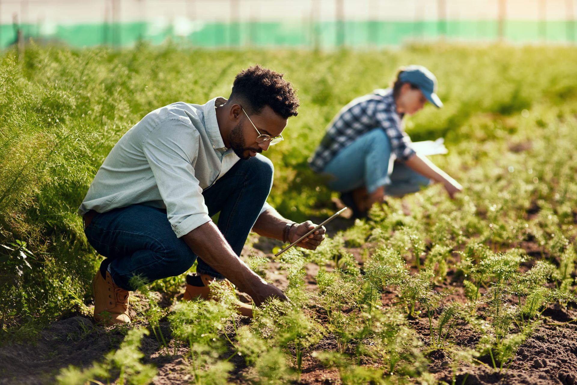 Femme et homme dans un potager