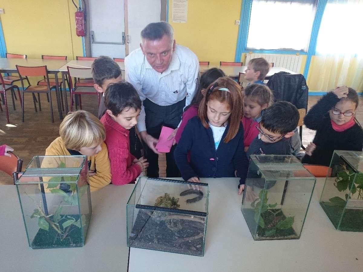 Découverte des insectes par des écoles, des centres de loisirs en Bretagne