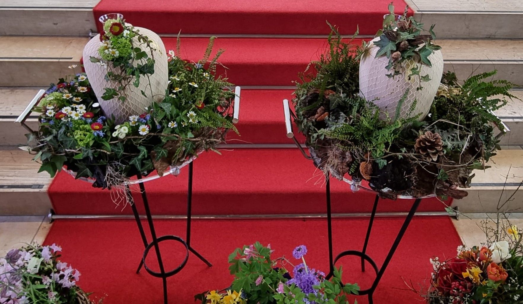Drei Topfpflanzen stehen auf einem roten Teppich auf einer Treppe.